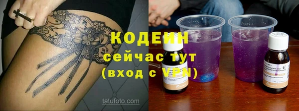 индика Няндома