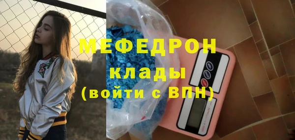 индика Няндома