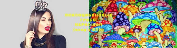 mdma Нязепетровск