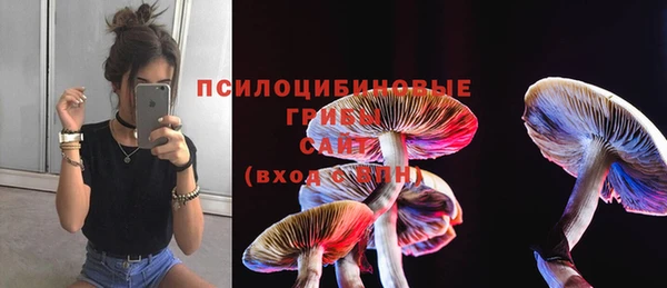 мет Осташков