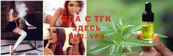 прущие грибы Жердевка