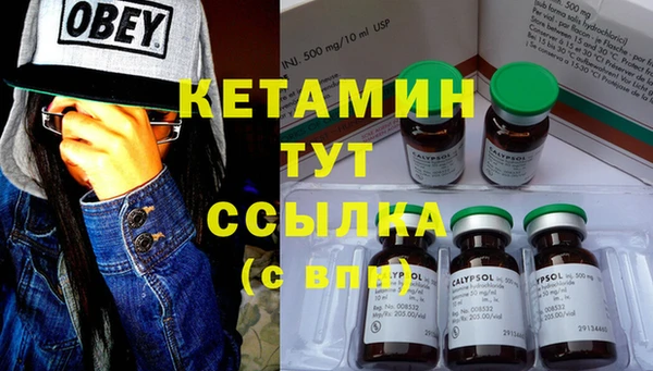 индика Няндома