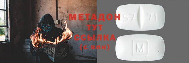 индика Няндома