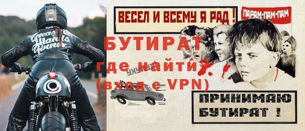 индика Няндома