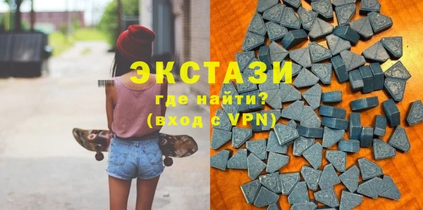 индика Няндома