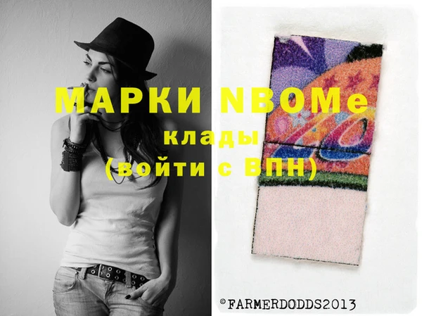 индика Няндома