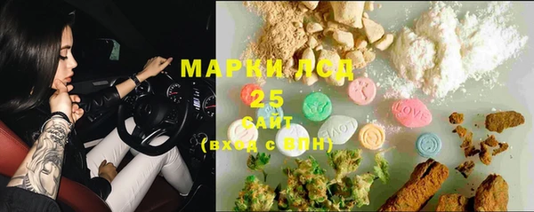 индика Няндома