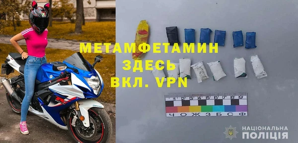 индика Няндома