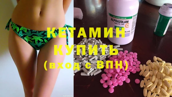 индика Няндома