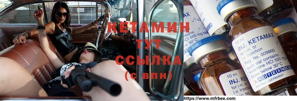 индика Няндома