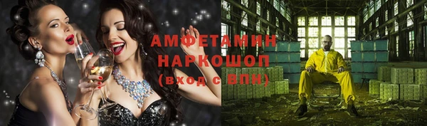 индика Няндома