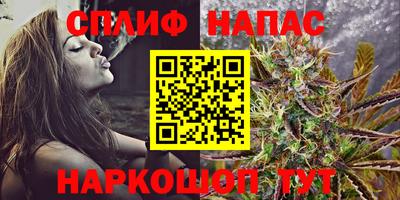 гашик Берёзовский