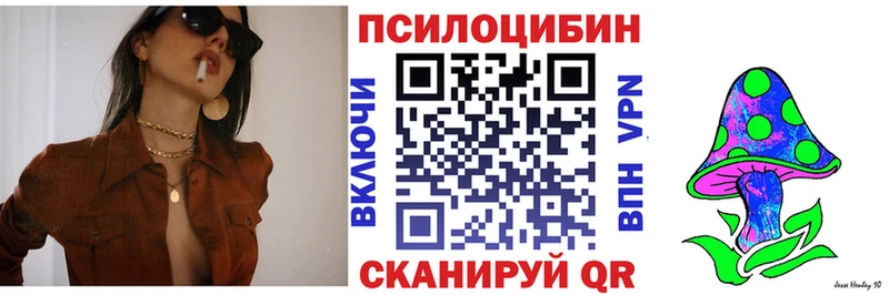 как найти наркотики  Киреевск  Псилоцибиновые грибы Cubensis 