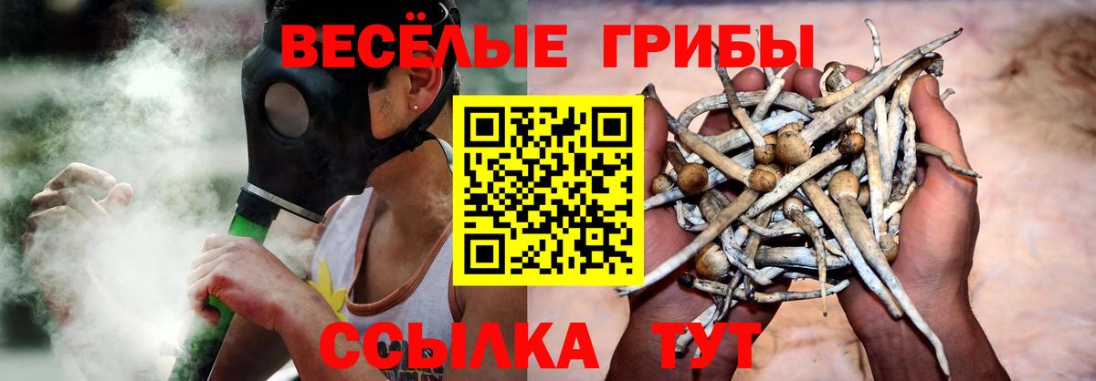 Галлюциногенные грибы Cubensis  Киреевск  Псилоцибиновые грибы GOLDEN TEACHER 