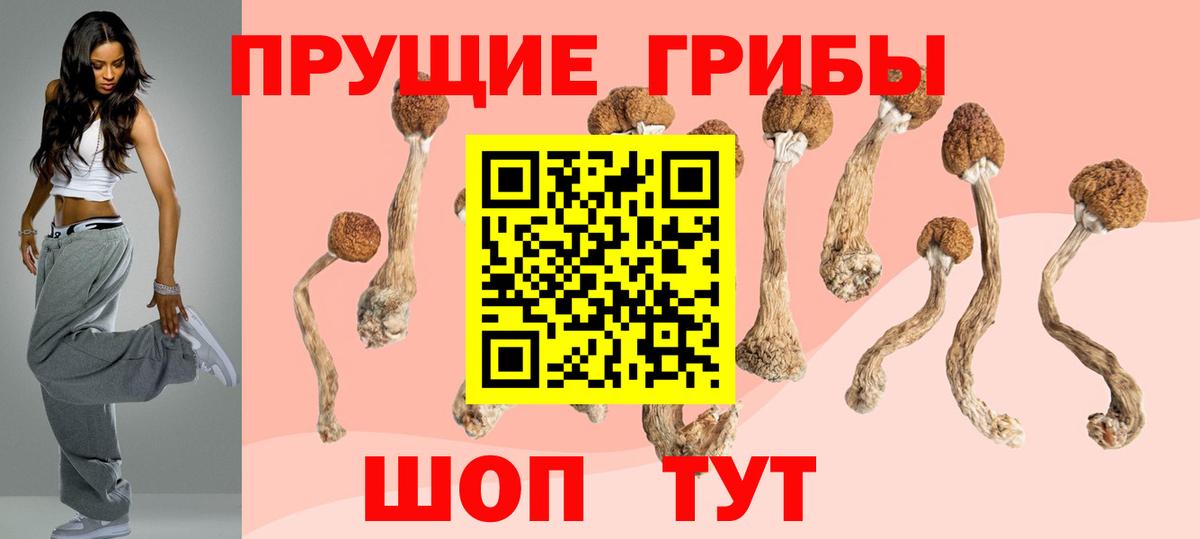 Псилоцибиновые грибы GOLDEN TEACHER  Галлюциногенные грибы мицелий  Вход с VPN  Киреевск 