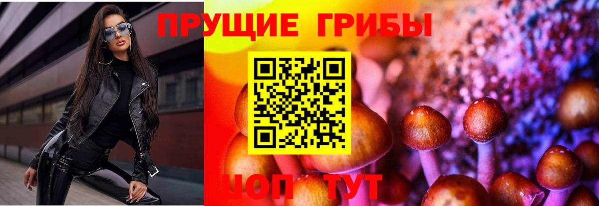 Псилоцибиновые грибы Psilocybine cubensis Киреевск